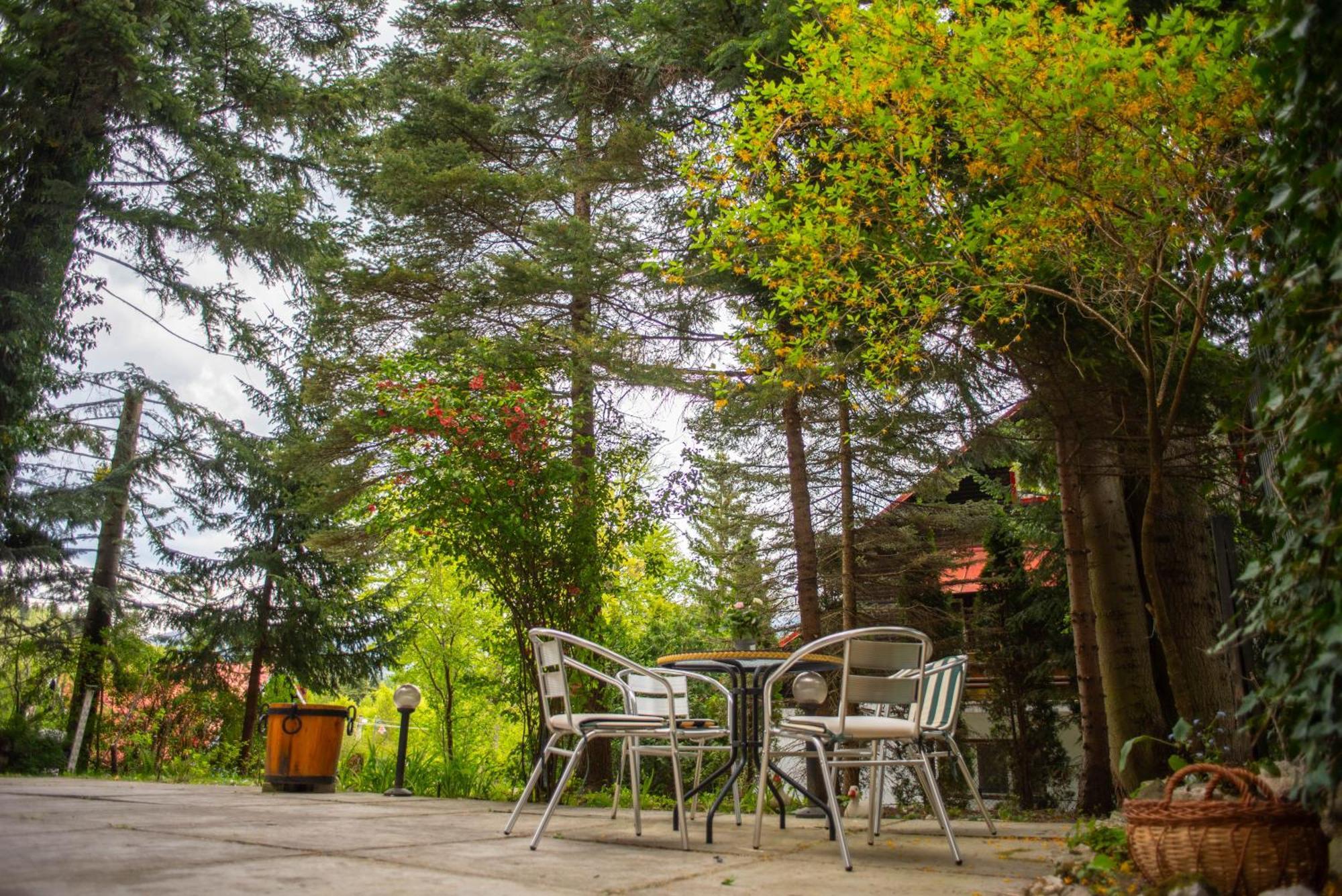 Villa Sara In Sinaia Near Peles & Gondola Kültér fotó