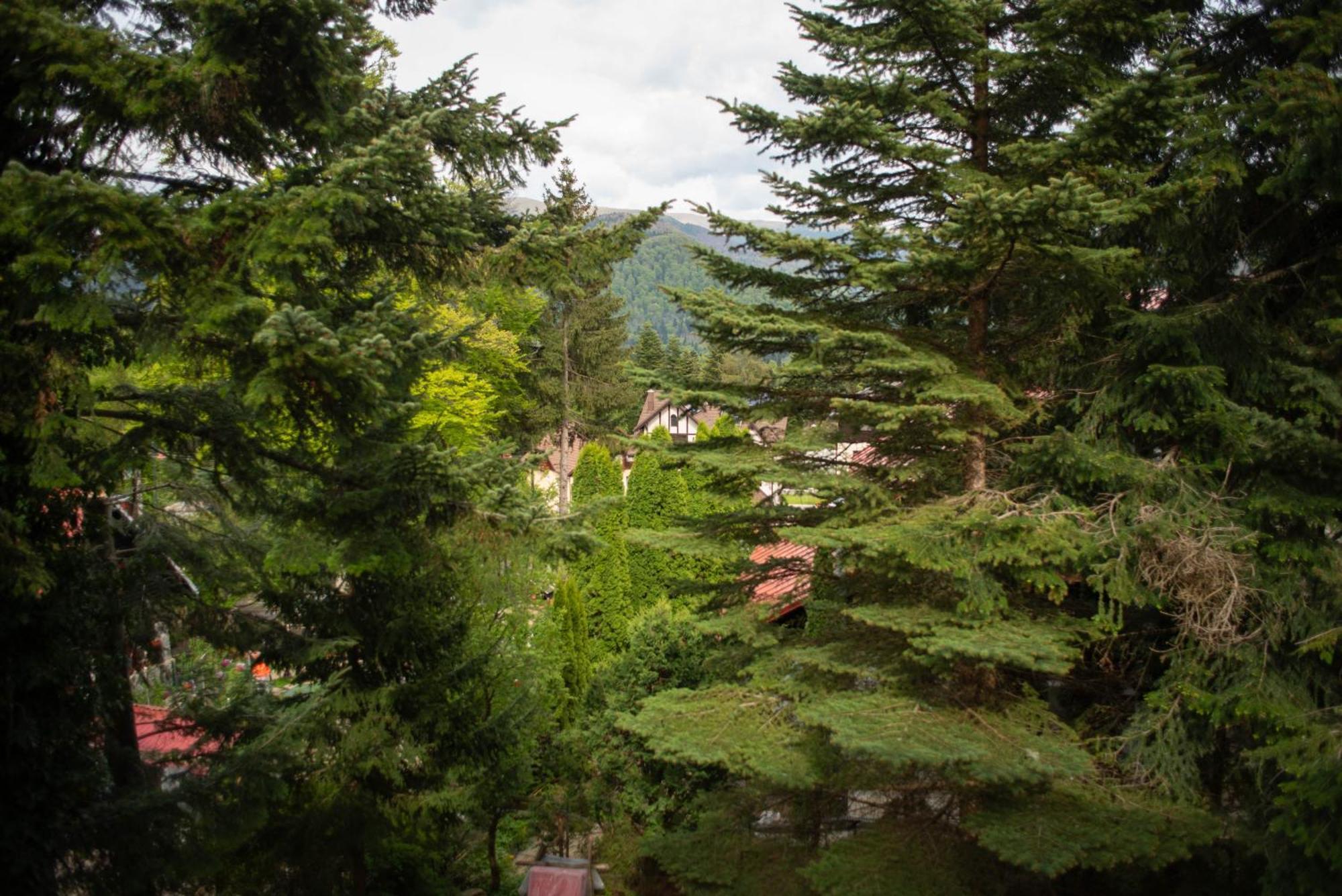 Villa Sara In Sinaia Near Peles & Gondola Kültér fotó
